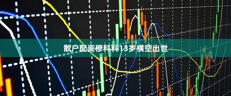散户配资穆科科13岁横空出世
